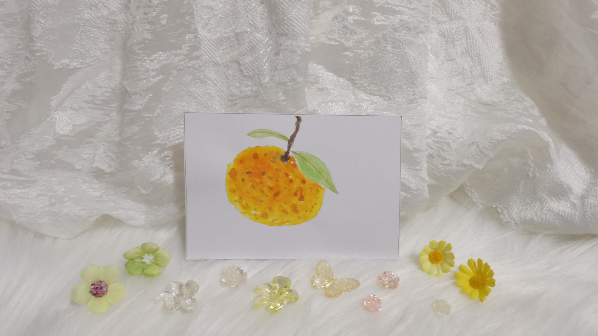 40 橘子（绘画 水彩 果花甘06）