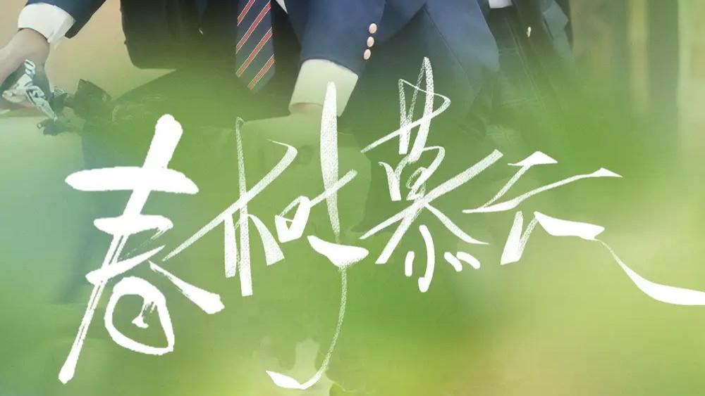 热门短剧分享《春树慕云》短剧：校园里的双向暗恋，青春的心动童话