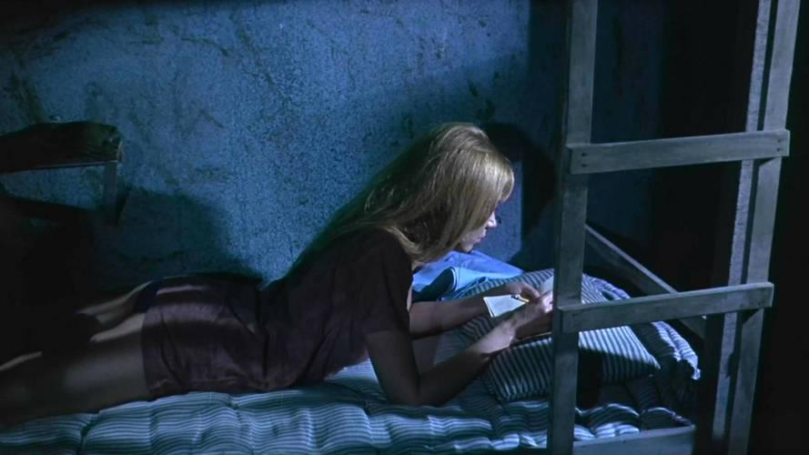 从光鲜到囚徒：《女子监狱》的深度剖析与现实映射