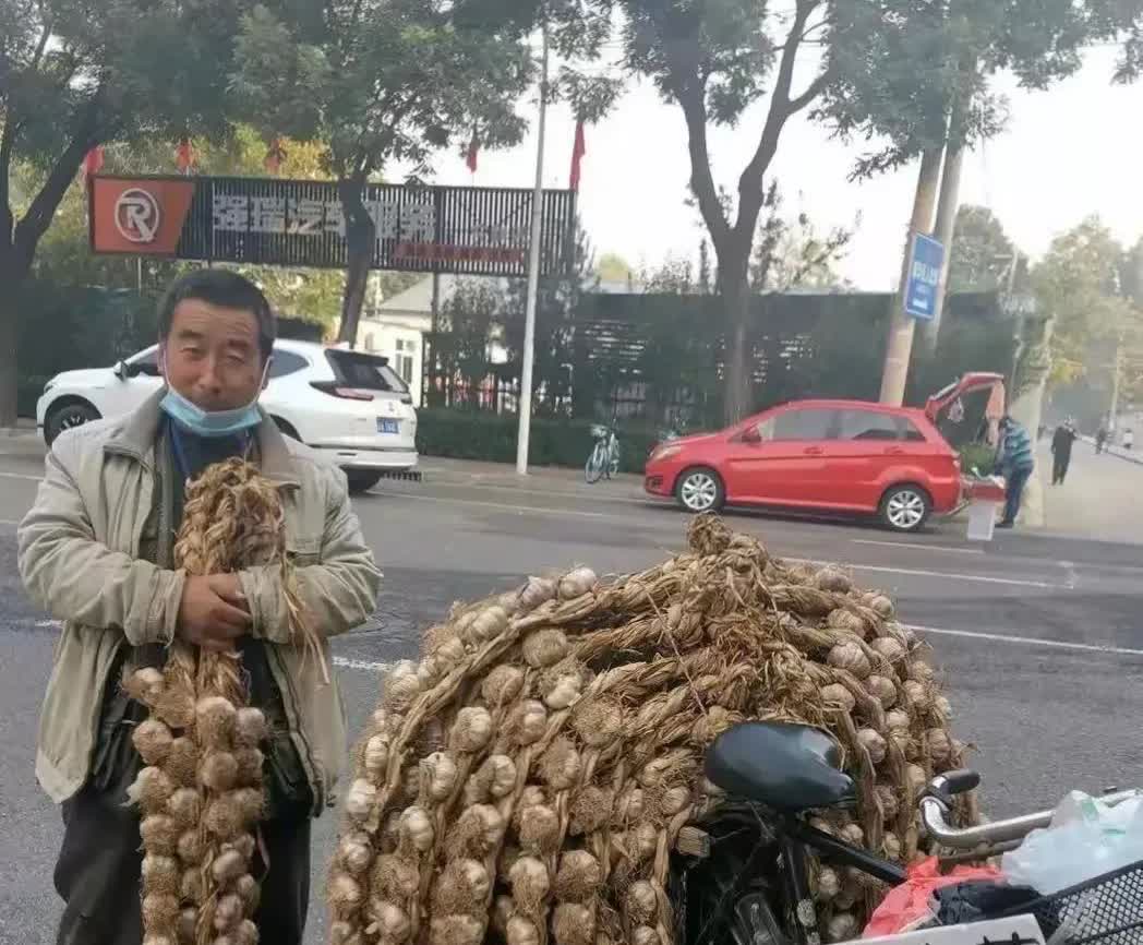 湖北邯郸，在永年，有一名男子在街头摆卖红皮大蒜，这名男子为了提高销量，特意打出永