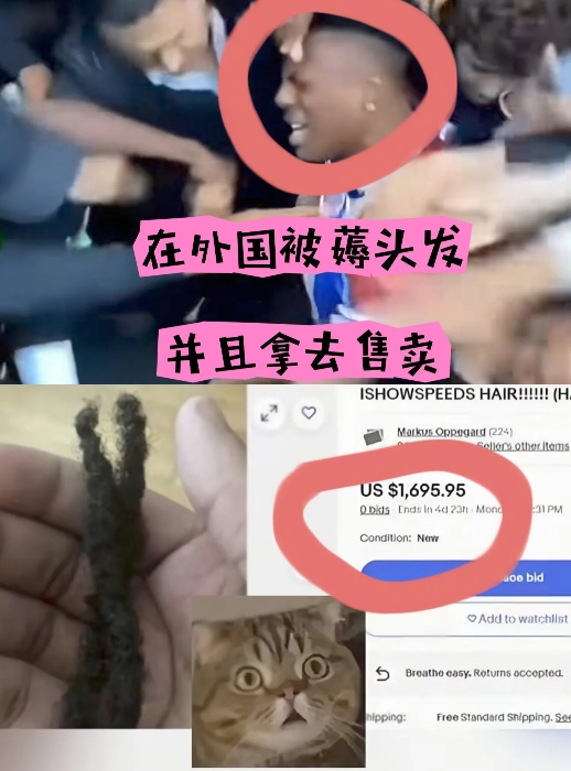 外国朋友看完甲亢歌的直播，

和我说：我其实并不羡慕你们的美食和建筑，也不羡慕你