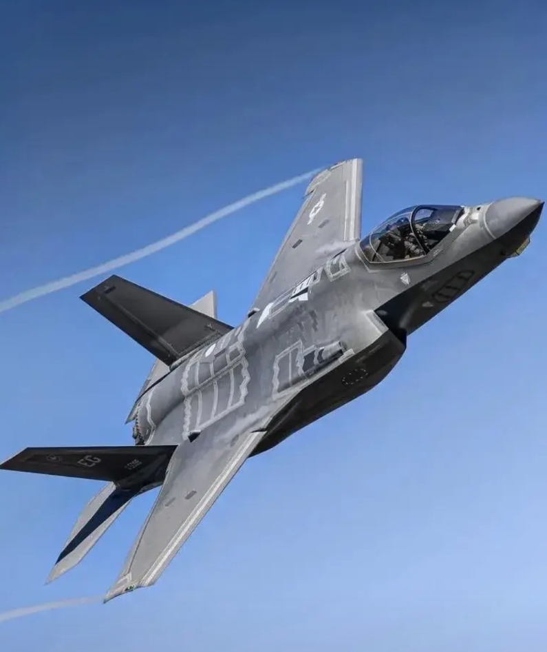 由于担心不给开机密码，德国计划取消35架F35战斗机的采购计划，价值约100亿欧