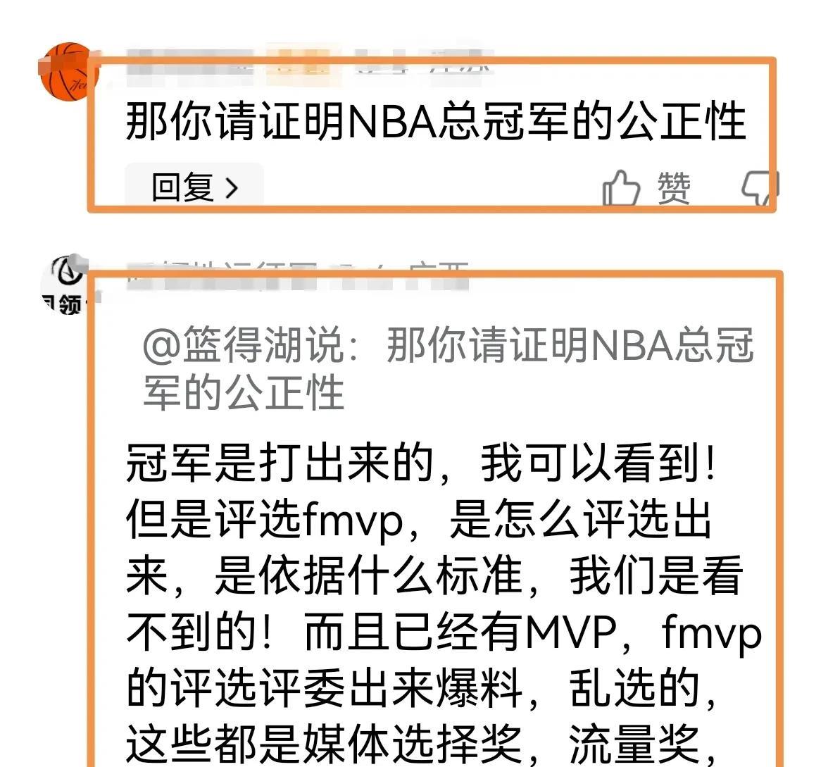 网友：fmvp评选的公正性需要证明！冠军是实打实打出来的，我可以看到！但是评选f