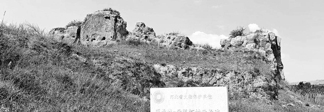 动于九天，入于九渊。
风雨在手，百战无前。