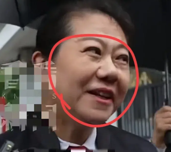 看了李铁的辩护律师图片，
我问我爸，为什么还有人为这种人做辩护呢？我爸看了下，说