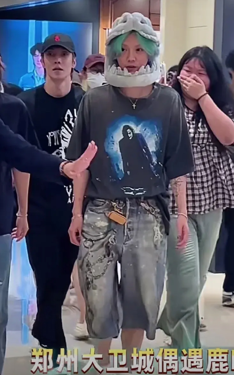 鹿晗来郑州了，鹿晗来大卫城了。
然而他的形象，只会让我觉得恐怖，恶心。看近段他的