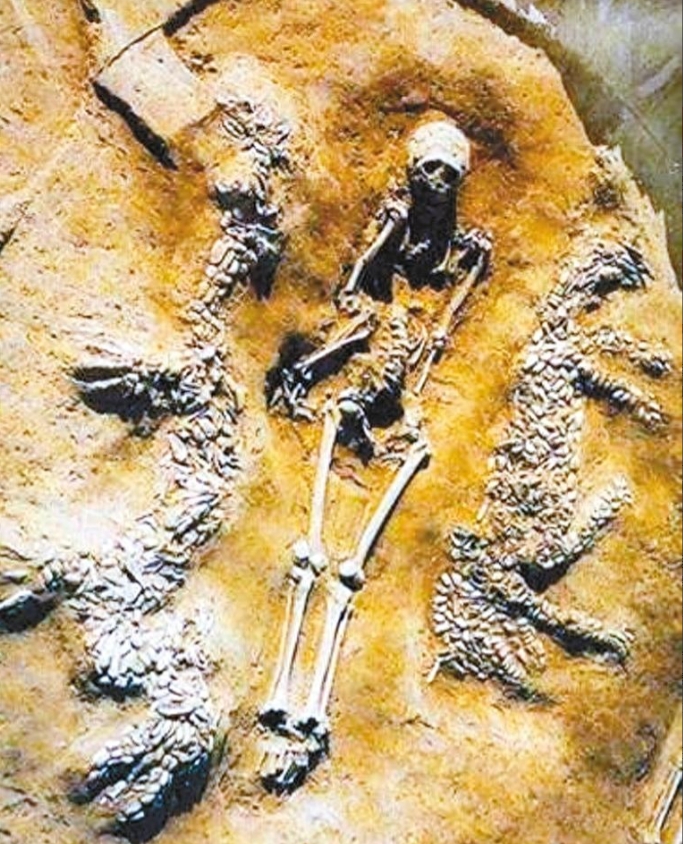 沉睡6400年的中国第一龙！龙在古代真的存在过吗？