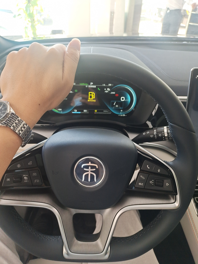 想知道宋有哪些毛病
看看能不能接受。昨天试驾了，感觉还不错，因为之前也试驾过秦普