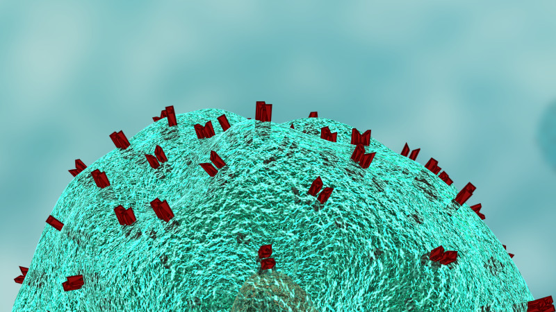 CCR5受体重组蛋白：趋化因子的关键