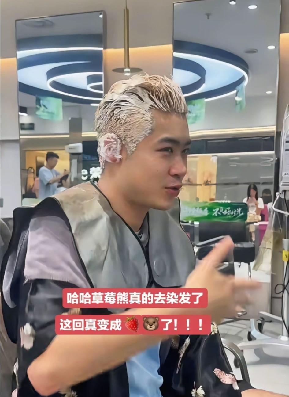 曹巍还真去染头发了。
看到王晨策一头粉色的头发，他从新疆回来后，也是下定决心要染