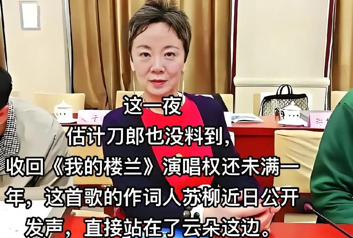 刀郎你听到了吗？
《我的楼兰》词作者苏柳为云朵“打抱不平”了。
苏柳“激动了”：