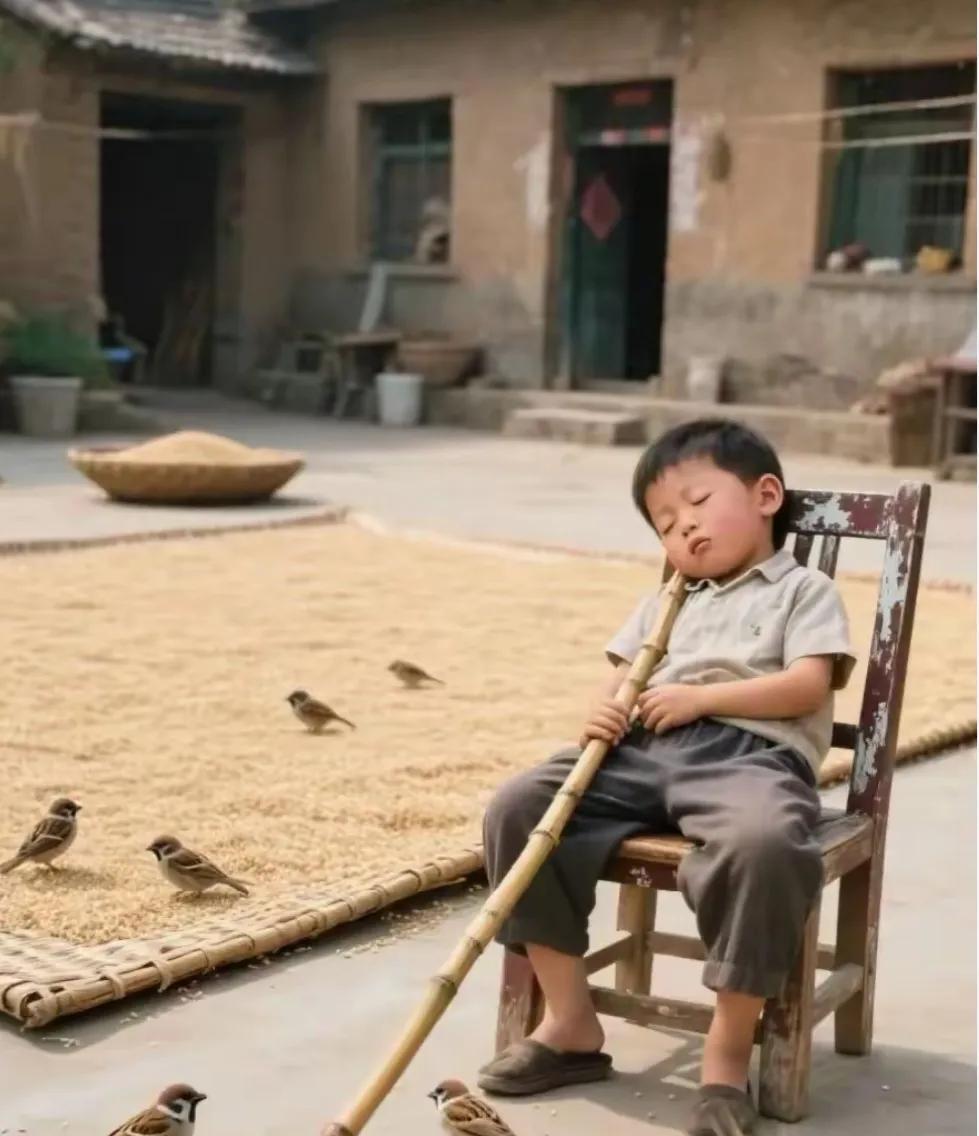 麻雀与少年
和皆社会，人与动物共处，又到了麦收季节，农村到处片丰收季节，这么多的