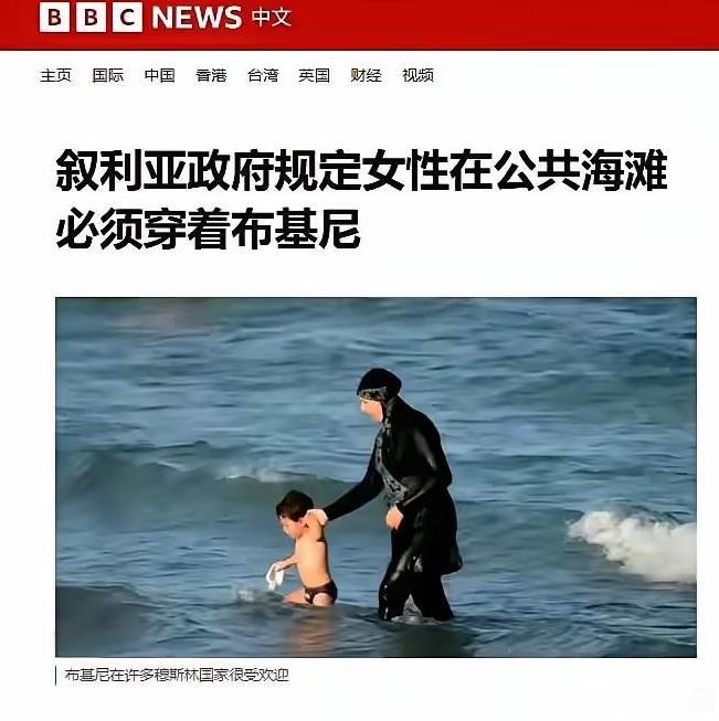 叙利亚终于迈上正轨[狗头]