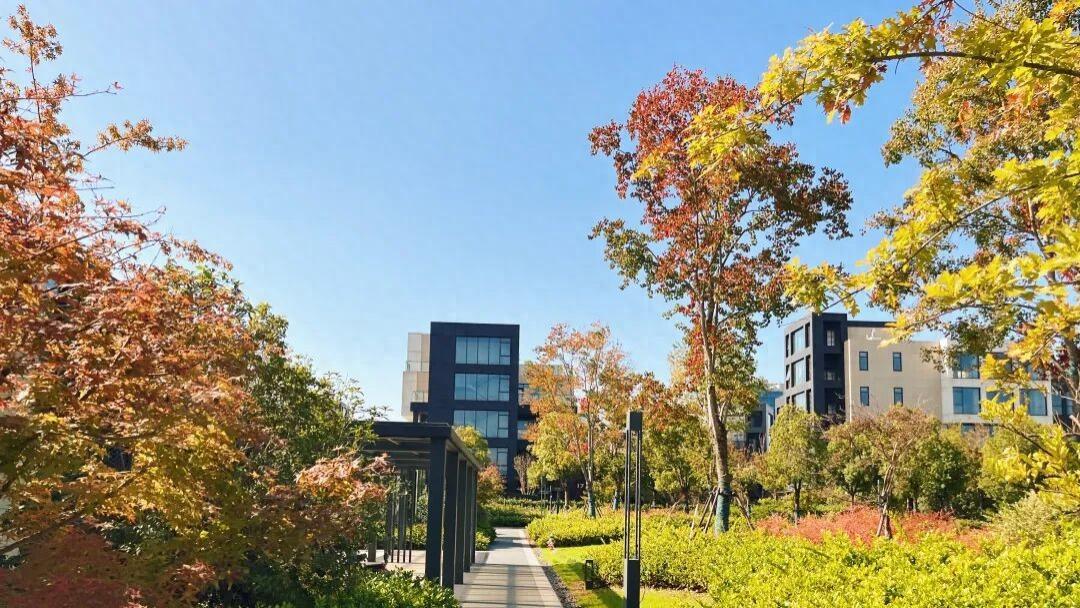 2024秋季学期考试日历！别错过考试时间！