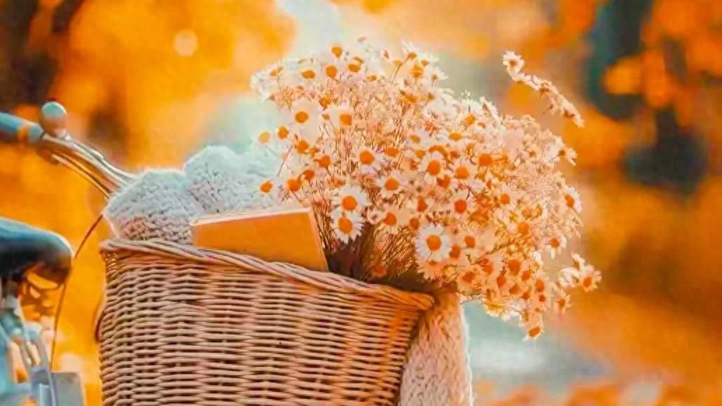 柔在言行，强在内心，不争不辩，做大格局