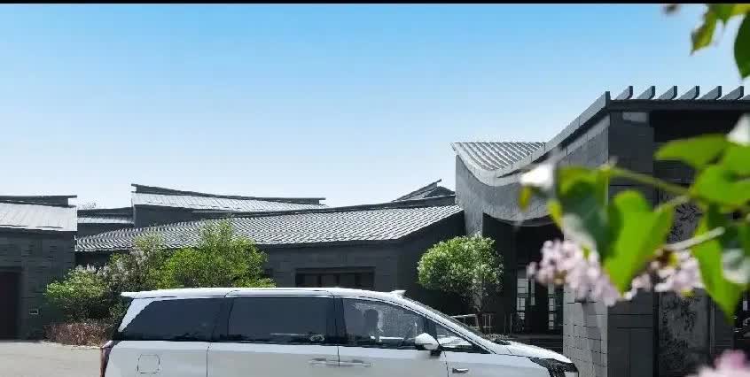 2025年1-5月全国MPV汽车销量前
三名：

1，腾势D9 DM-i：