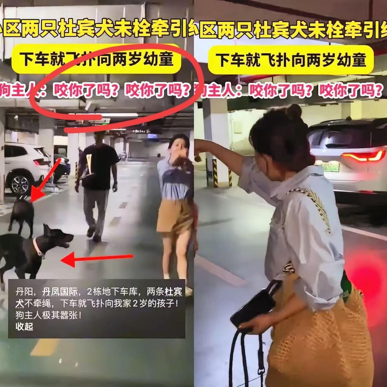 闹大了！
就因为两个狗！
江苏公安，镇江公安，丹阳公安抖音号，评论区里热闹了起来