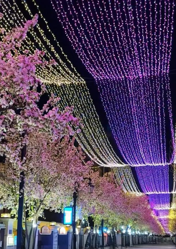 天津五大道，你不能再美了，再美就会美的没有朋友了！[大笑]
我以前去天津五大道基