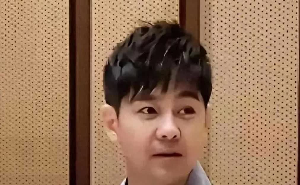 林志颖医美后遗症显，似马保国终遭“反噬”
俊朗林志颖若因过度医美反似马保国，医