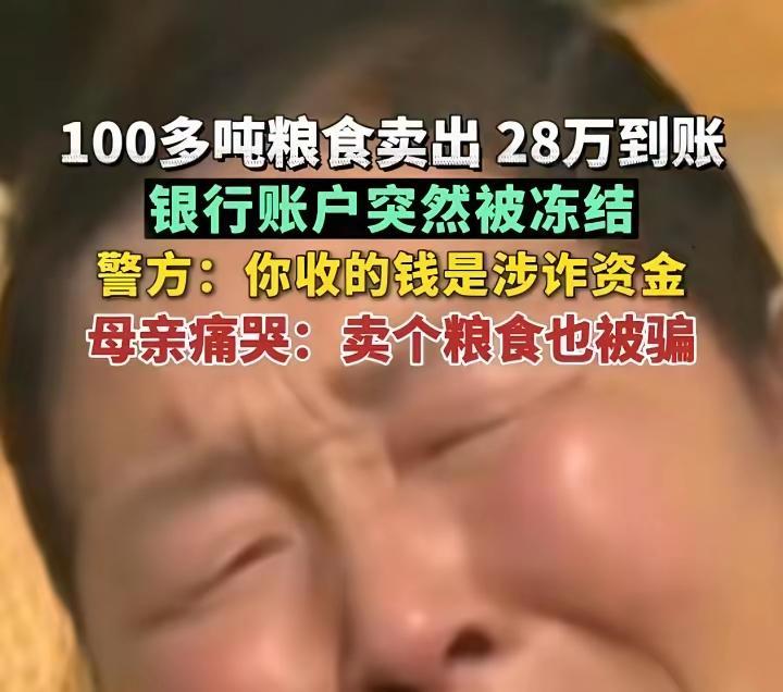 粮食总不能凭空消失吧！卖的什么粮食？什么价格？什么粮食2.8元一斤？