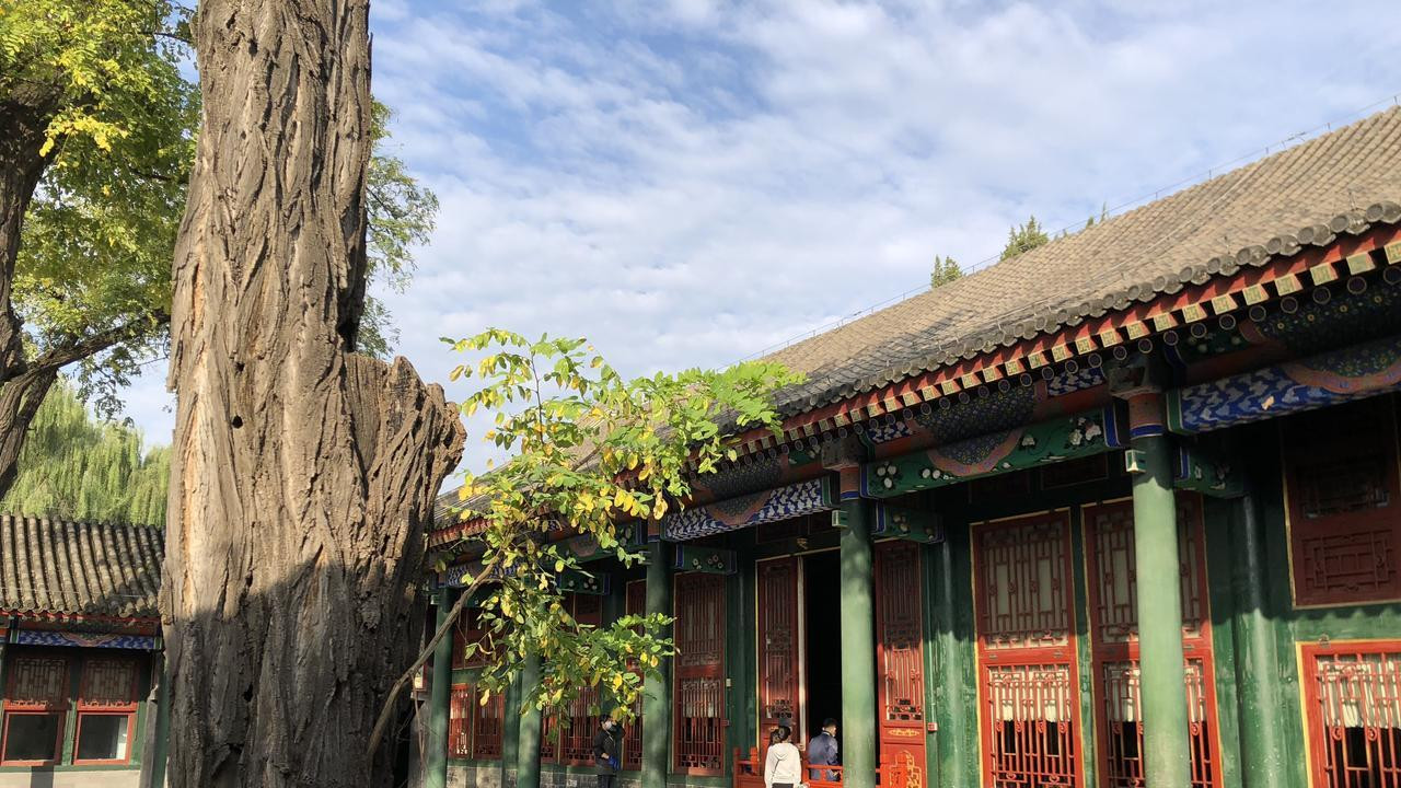 和珅抄家清单曝光：最值钱的不是金银，是墙里藏的这东西！嘉庆看后沉默了