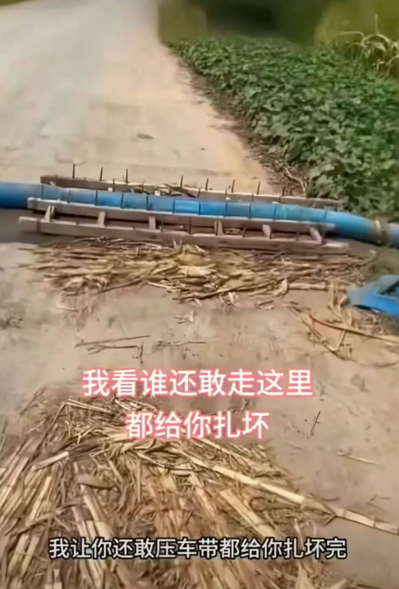 太气人了！有农民浇地，在水管上面放了好多钉子，防止车从管子上压过去，这种做法惹众