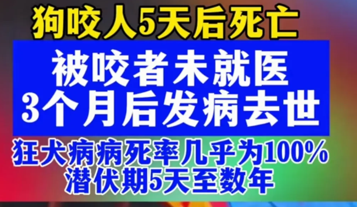 大家要注意了，一不小心又是狗咬人的悲剧！

广东一狗咬人，被咬后没有去就医约3个
