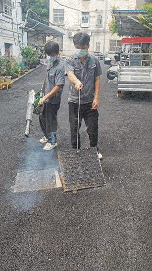 南方的蟑螂根本灭不完。