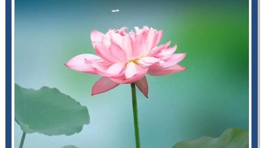 人生须臾数年，活着究竟为了什么