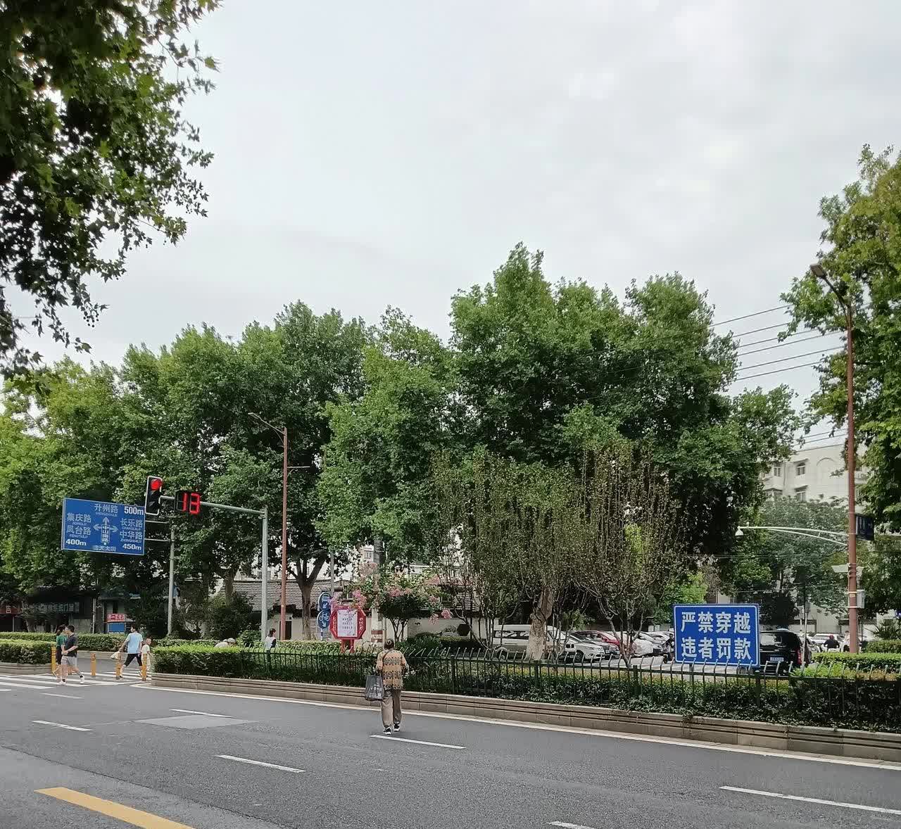 网爆南京某网友拍到某市民横穿马路行为。


这位老人，
难道就差这几米吗