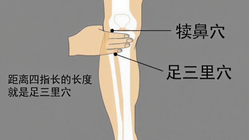 秋冬时节，每天多揉揉这两处！一个养，一个通，气血足足的