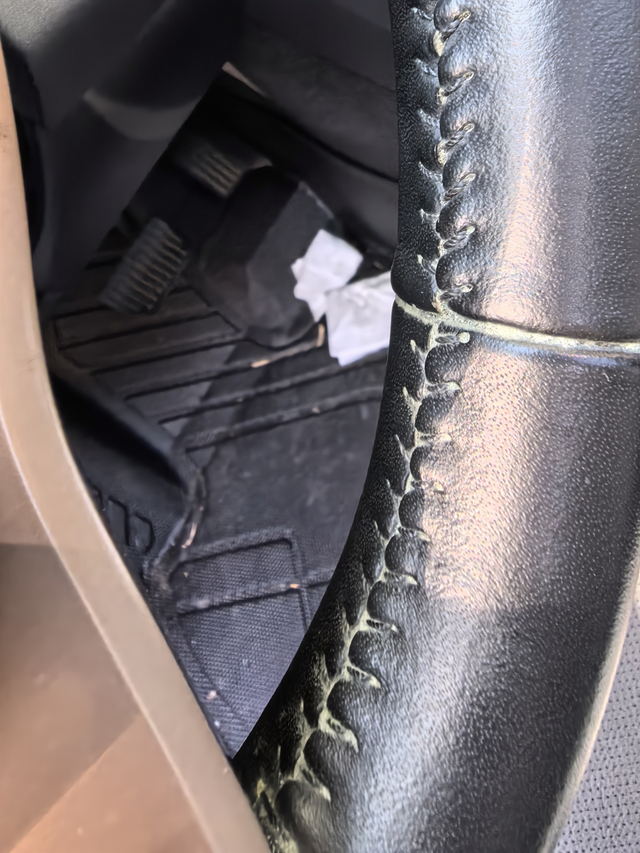 长绿毛的车这还能不能要
一直没动过车，今天怕电瓶亏电发动一下，结果看到车内全长绿