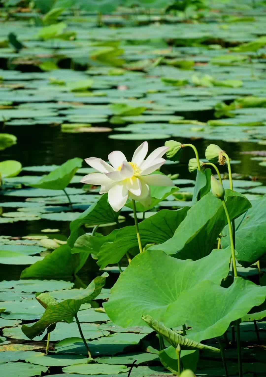 原生家庭的羁绊，真是让人又爱又恨。
文章里那种父母的焦虑，简直是当代父母的真实
