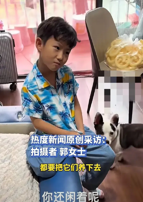 6月16日，上海郭女士发视频吐槽自己的小孩和丈夫太有爱心，在外面看到流浪的猫猫狗
