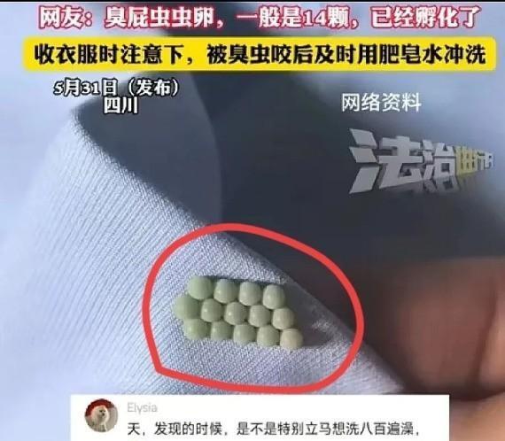 太吓人了！一女子起床穿内衣，结果，却总感觉扣不舒服，她将内衣一把扯开，竟然在上面