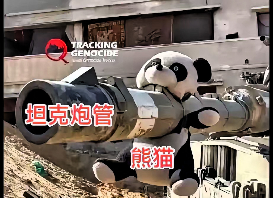 以色列熊猫玩具风波











---











你绝想不