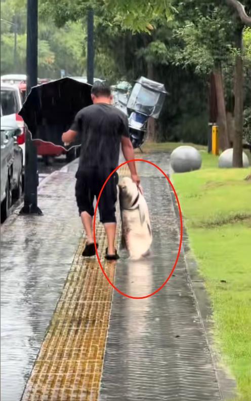 河南信阳一男子冒雨在河边钓鱼，竟钓上来了一条足有七八十斤重的大鱼，结果男子不惜冒