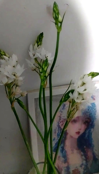 偷情操作的天花板，这对男女都是人才。

听说隔壁临县一个男的在微信上约到同县一个