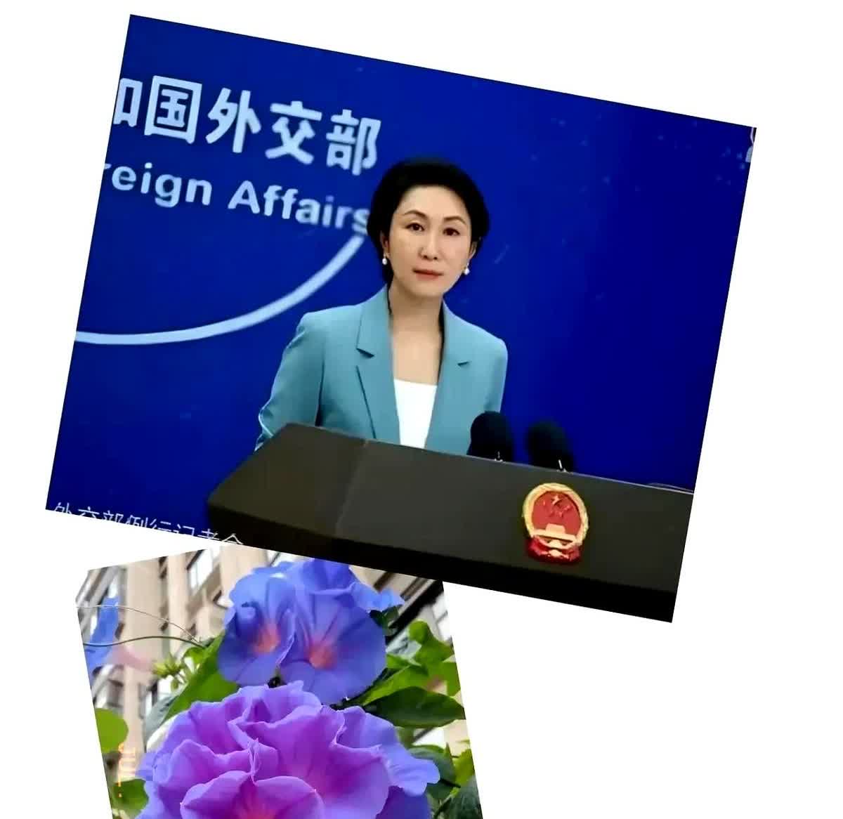 我国霸气回应美国银行高官茅晨月，原来她在首都机场被限制离境，西方媒体惊呆了，这还