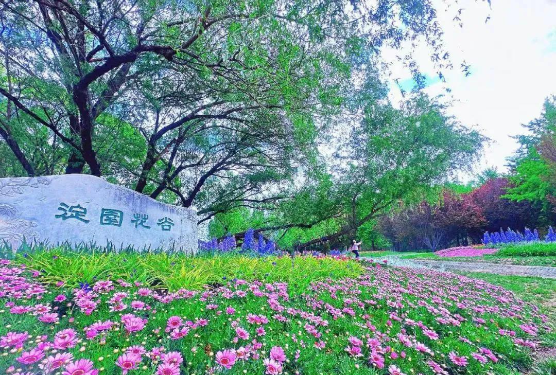 夏天一定要去趟海淀公园
炎炎夏日，带给人身心疲惫之感，北京海淀公园绿意盎然的自然