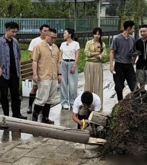 央视主持团下乡干活，撒贝宁抡电锯，其他明星站旁边聊天？
近日有网友在绍兴偶遇撒贝