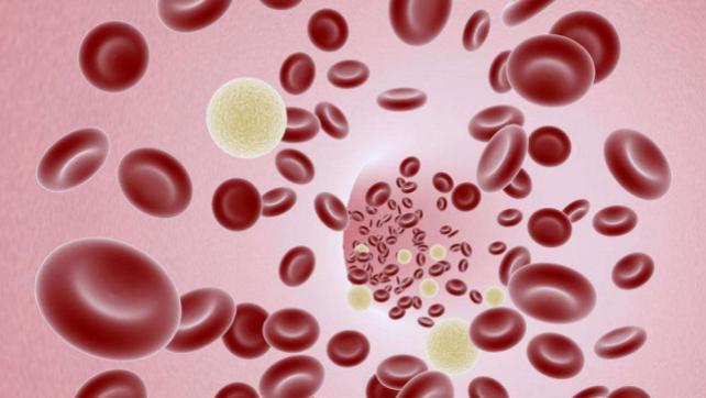 做试管能喝咖啡吗？