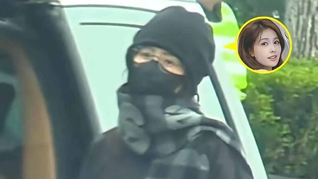 白鹿路边下车抓私生：忍无可忍硬刚，背后的委屈太让人心疼