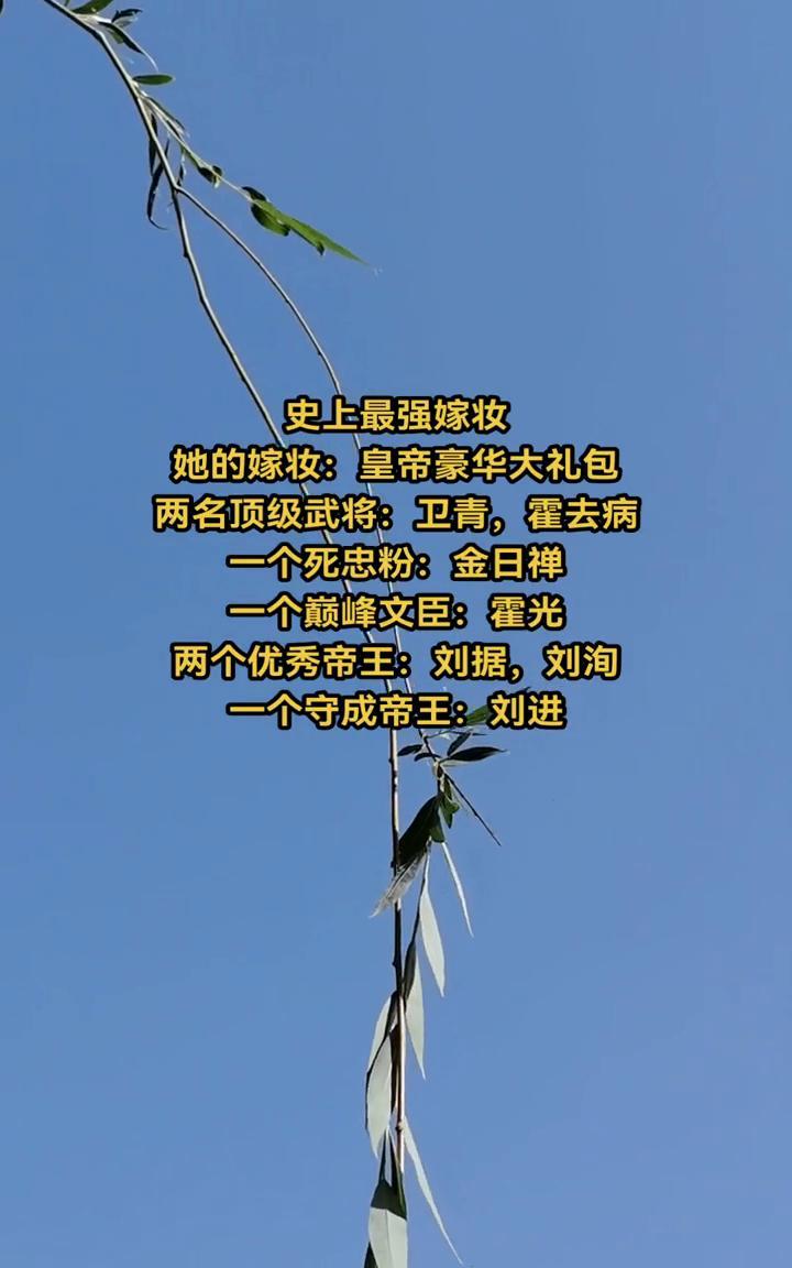 史上最强嫁妆。
她的嫁妆：皇帝豪华大礼包。两名顶级武将：卫青、霍去病。一个死忠粉
