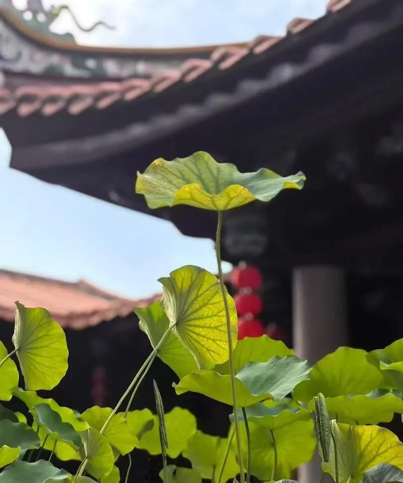 打牢基础是学八字的关键
学八字预测有没有捷径，本人认为没有，古人云:九层之塔起于