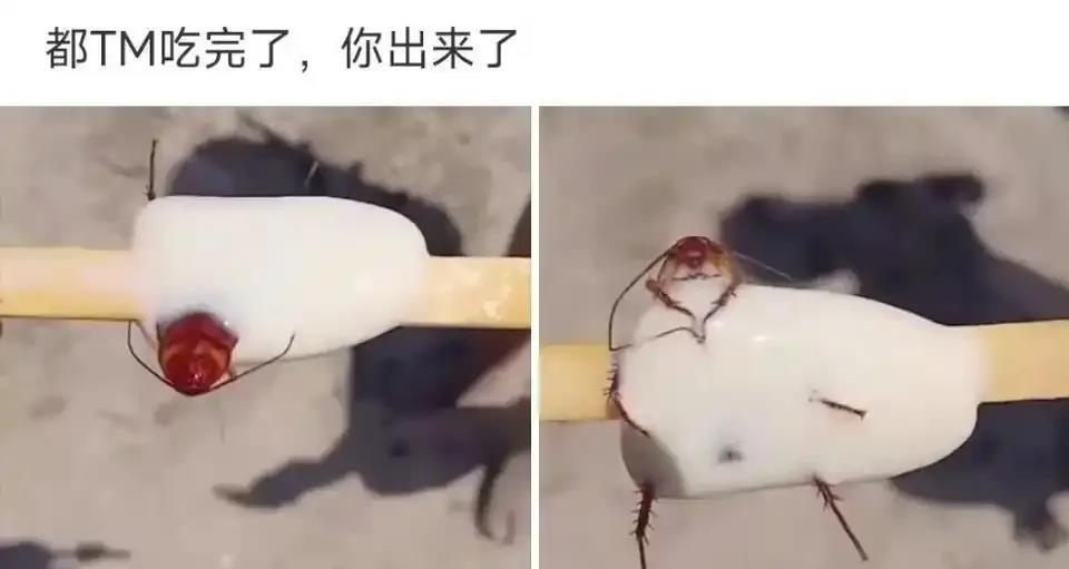 好气人，都吃完了才出来