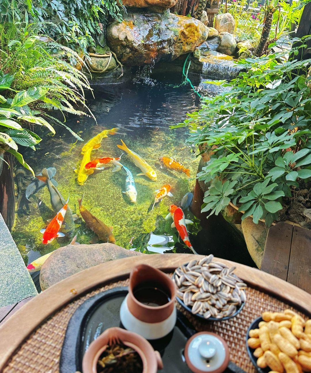 1、圆鱼缸纯属摆设！
金鱼在里面转圈游，没几天就犯晕，方缸才是正经养鱼人的选择。