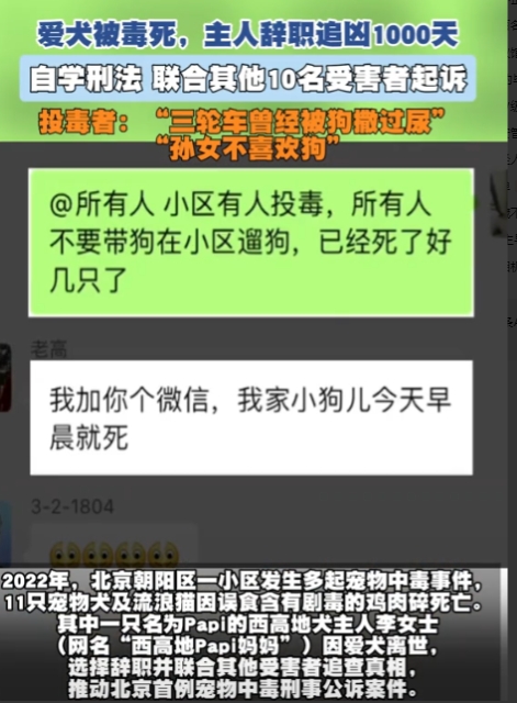太执着了，北京一名女子因宠物狗被毒死，辞职寻找凶手！6月19日，这起案件已经延期