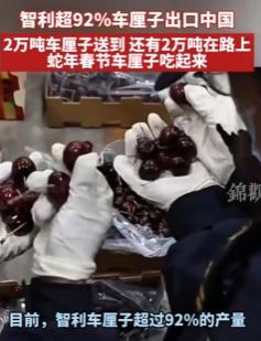 智利运气太好了！他们国内超过9成的车厘子，重达2万吨都送到我国了，虽然我们很高兴