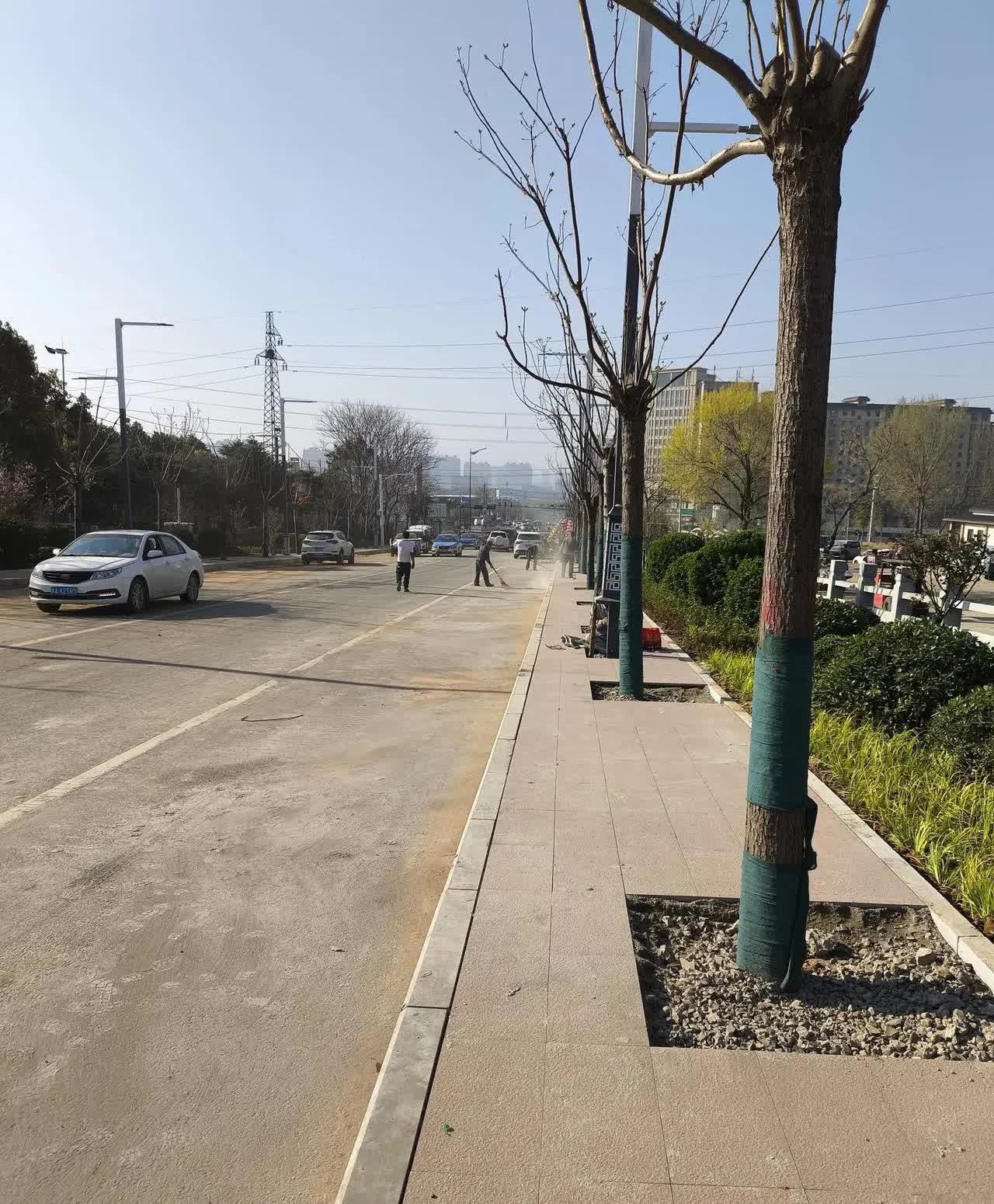 2025年3月26日，暖阳高照，笔者来到新华路最北端，了解山顶公园改造情况。
